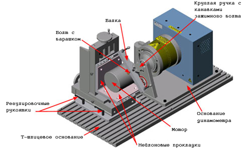    AMF-2